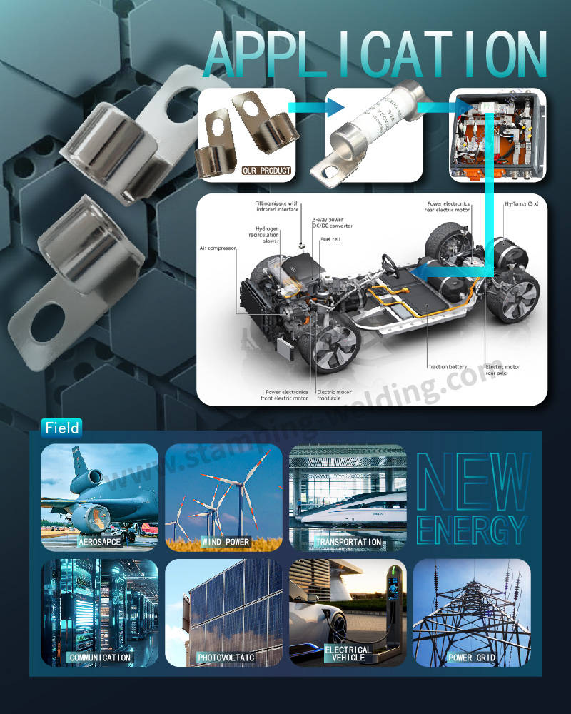 Fuse Cap Application Fuse Cap Application